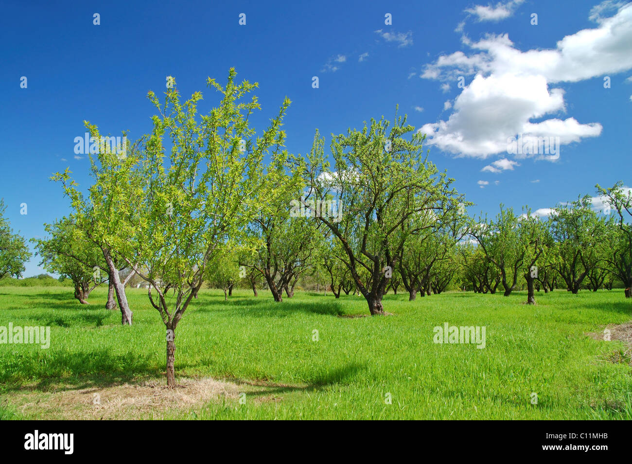 Country rural countryside hi-res stock photography and images - Alamy