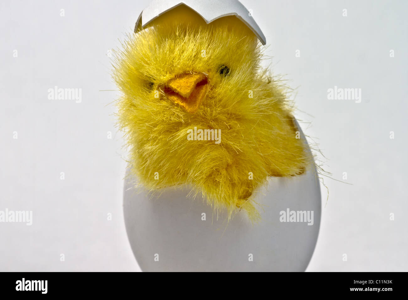 Newly hatched toy easter chicken in its eggshell, isolated on white Stock Photo