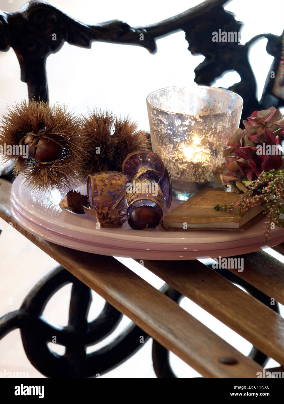 Autumnally decorated plate with chestnuts on a wooden bench Stock Photo