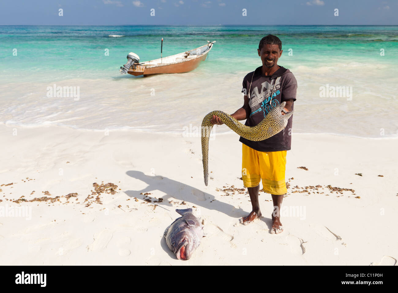 Man holding Honeycomb Moray Eel, Socotra Stock Photo