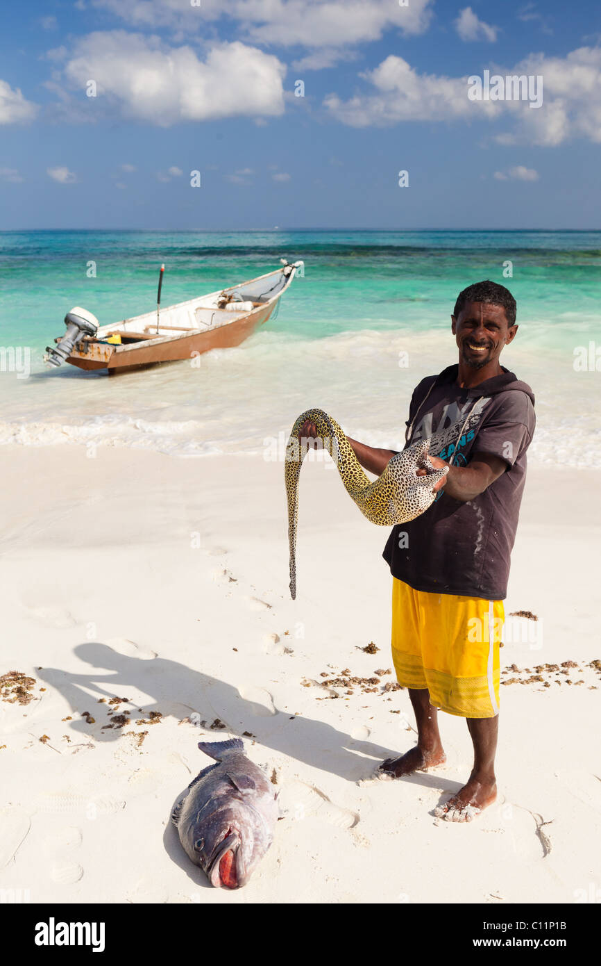 Man holding Honeycomb Moray Eel, Socotra Stock Photo