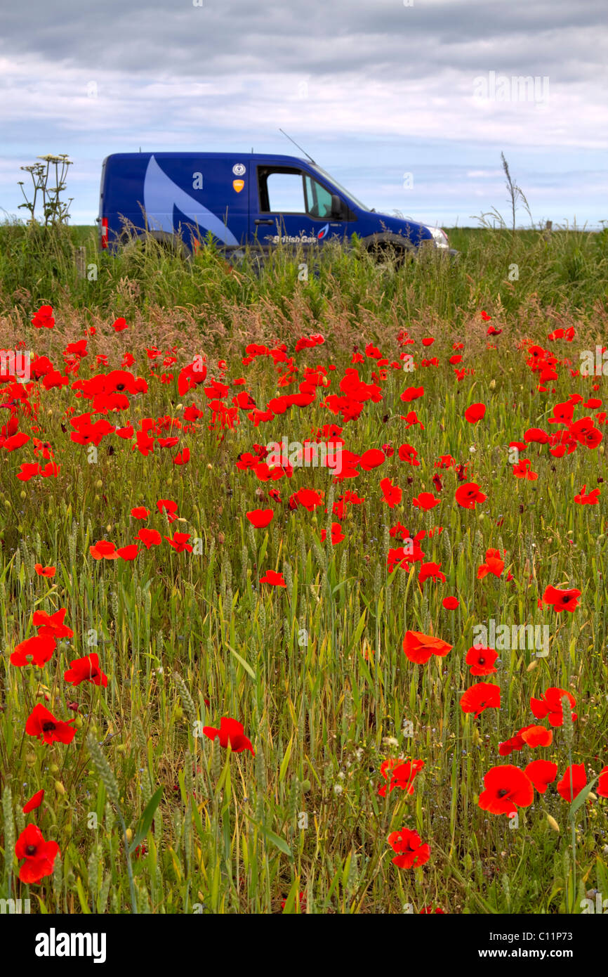 British Gas service van parked beside a field of poppies Stock Photo - Alamy