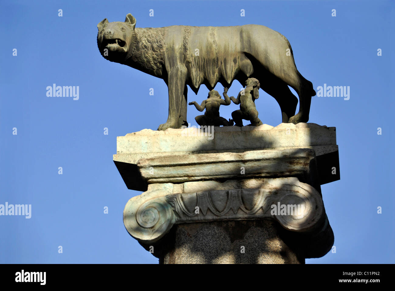 Capitoline Wolf, Romulus, Remus, Piazza del Campidoglio Capitol Square, Rome, Lazio, Italy, Europe Stock Photo