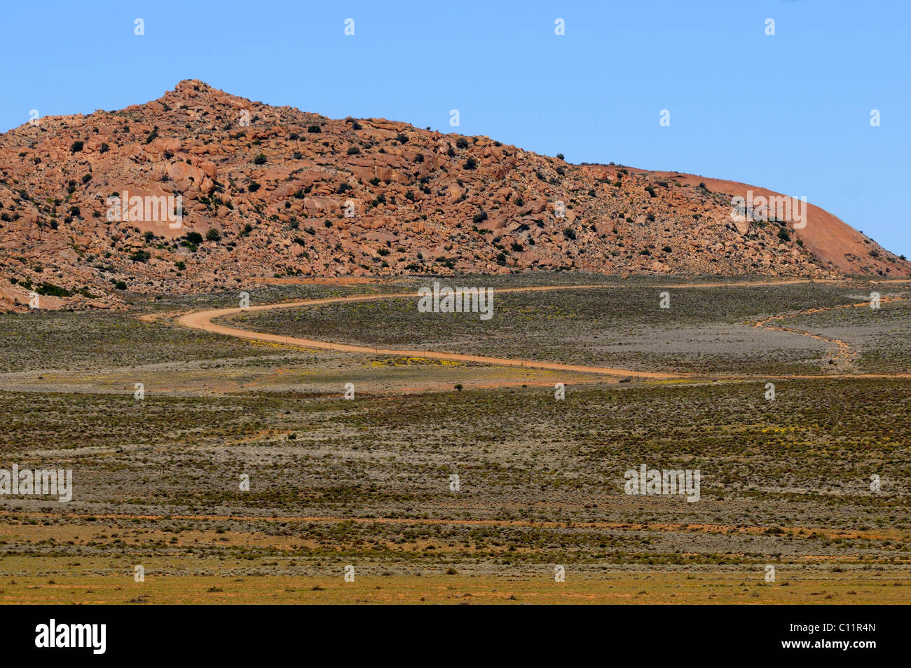 Namaqualand goegap nature reserve hi-res stock photography and images ...