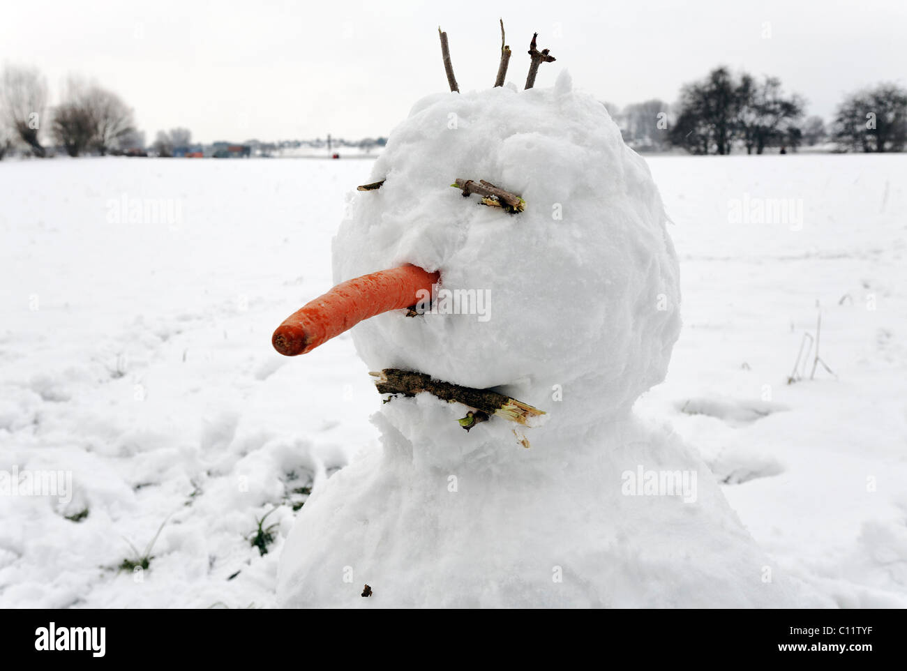 Funny snowman with carrot nose and three hairs on his head, Duesseldorf-Kaiserswerth, North Rhine-Westphalia, Germany, Europe Stock Photo