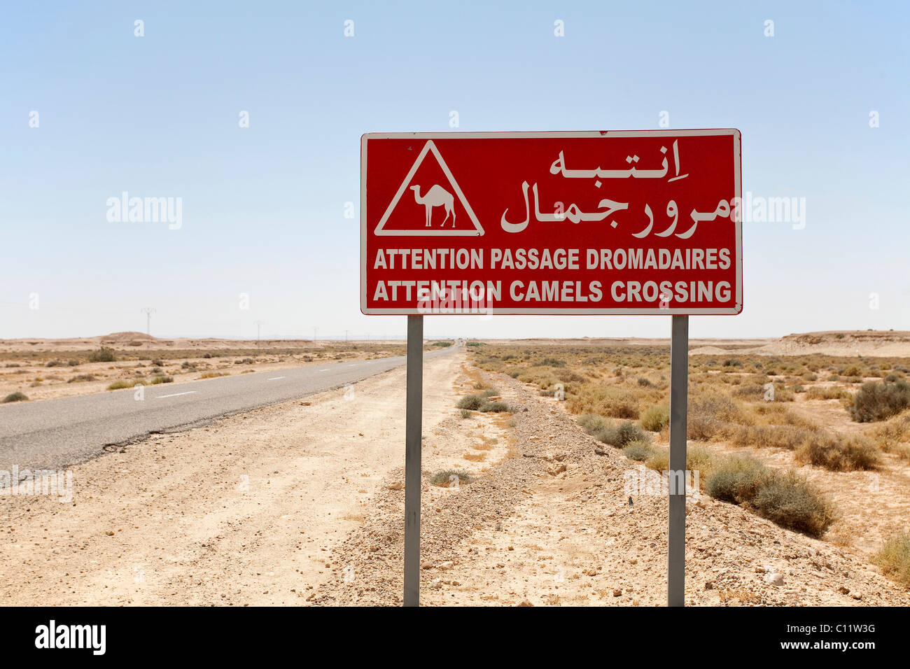Camel crossing traffic sign in the Sahara, Africa Stock Photo