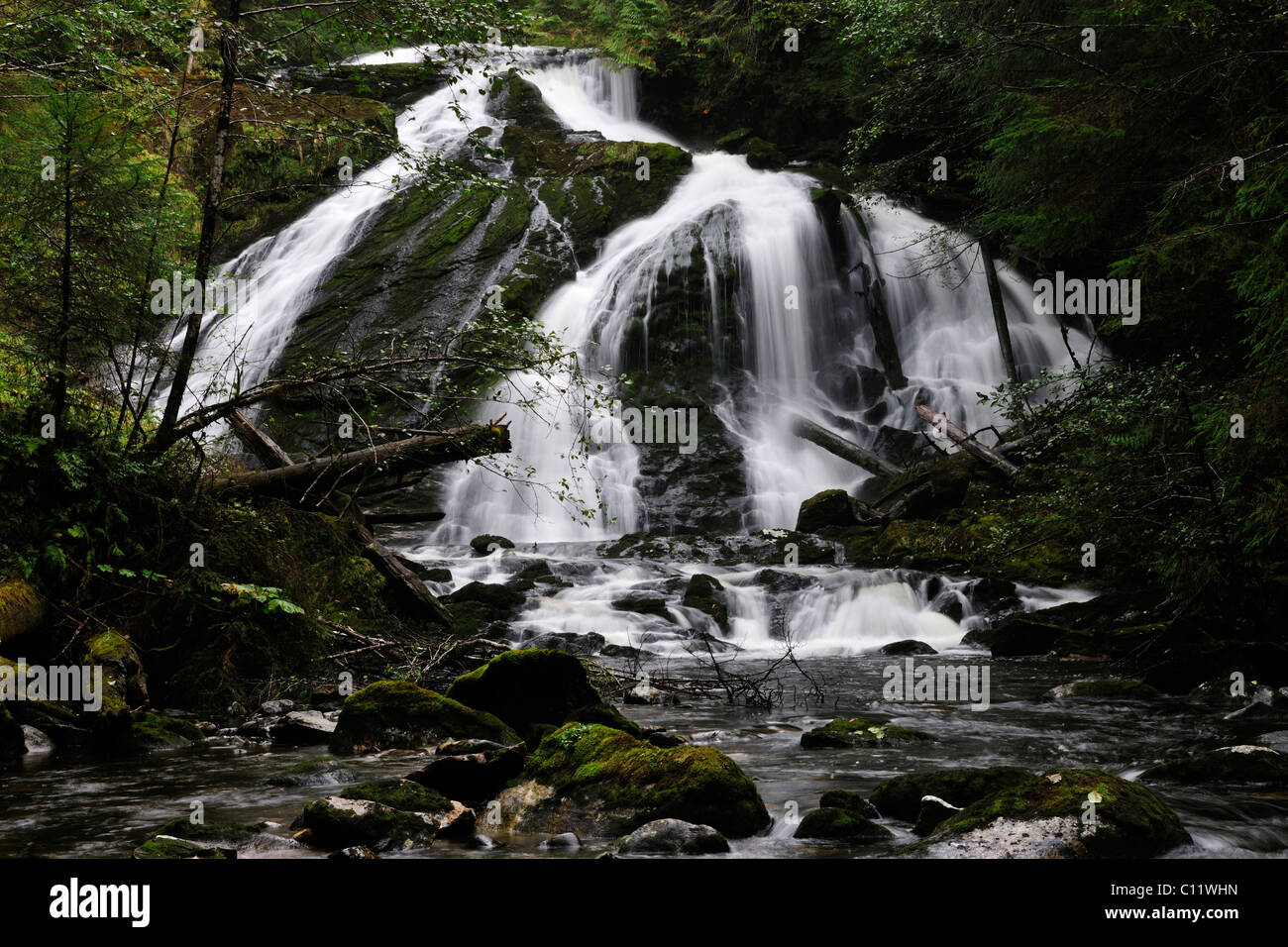 Waterfall in the Pacific rain forest, Canada Stock Photo