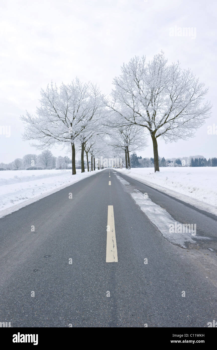 Road Patches High Resolution Stock Photography and Images - Alamy