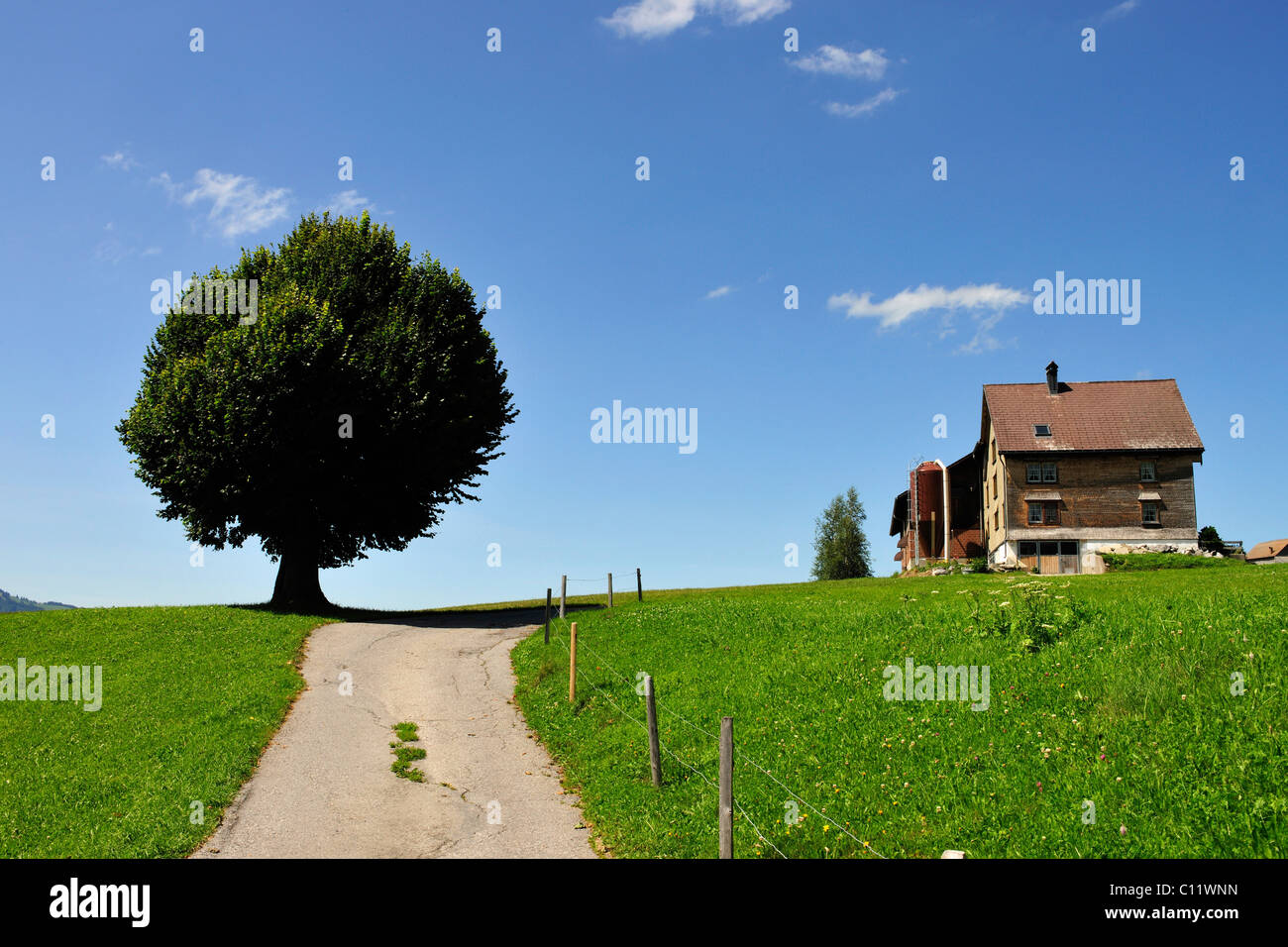 Linden tree house hires stock photography and images Alamy