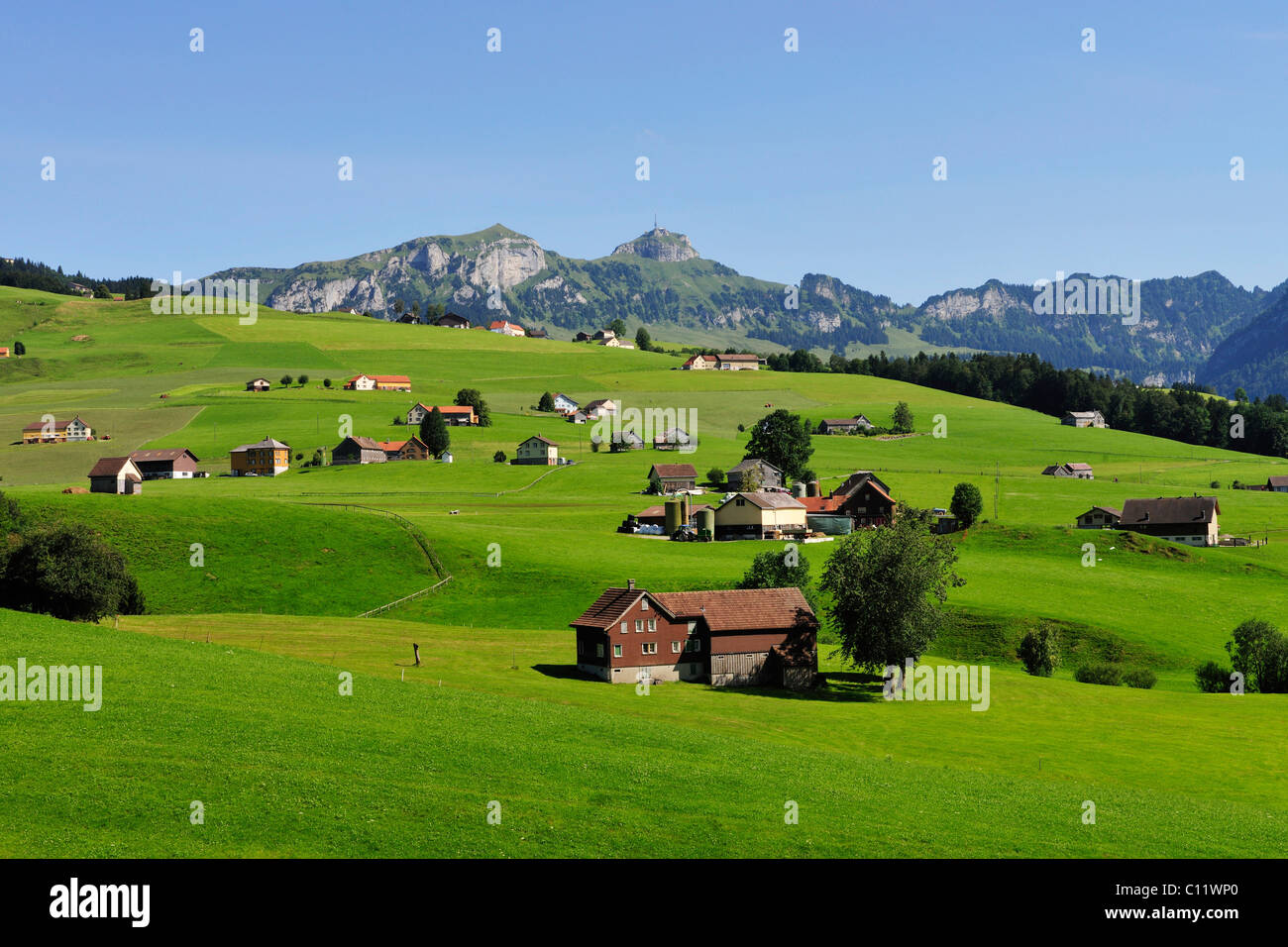 Landscape with farmhouses, the Alpstein range at back, canton of Appenzell, Switzerland, Europe Stock Photo