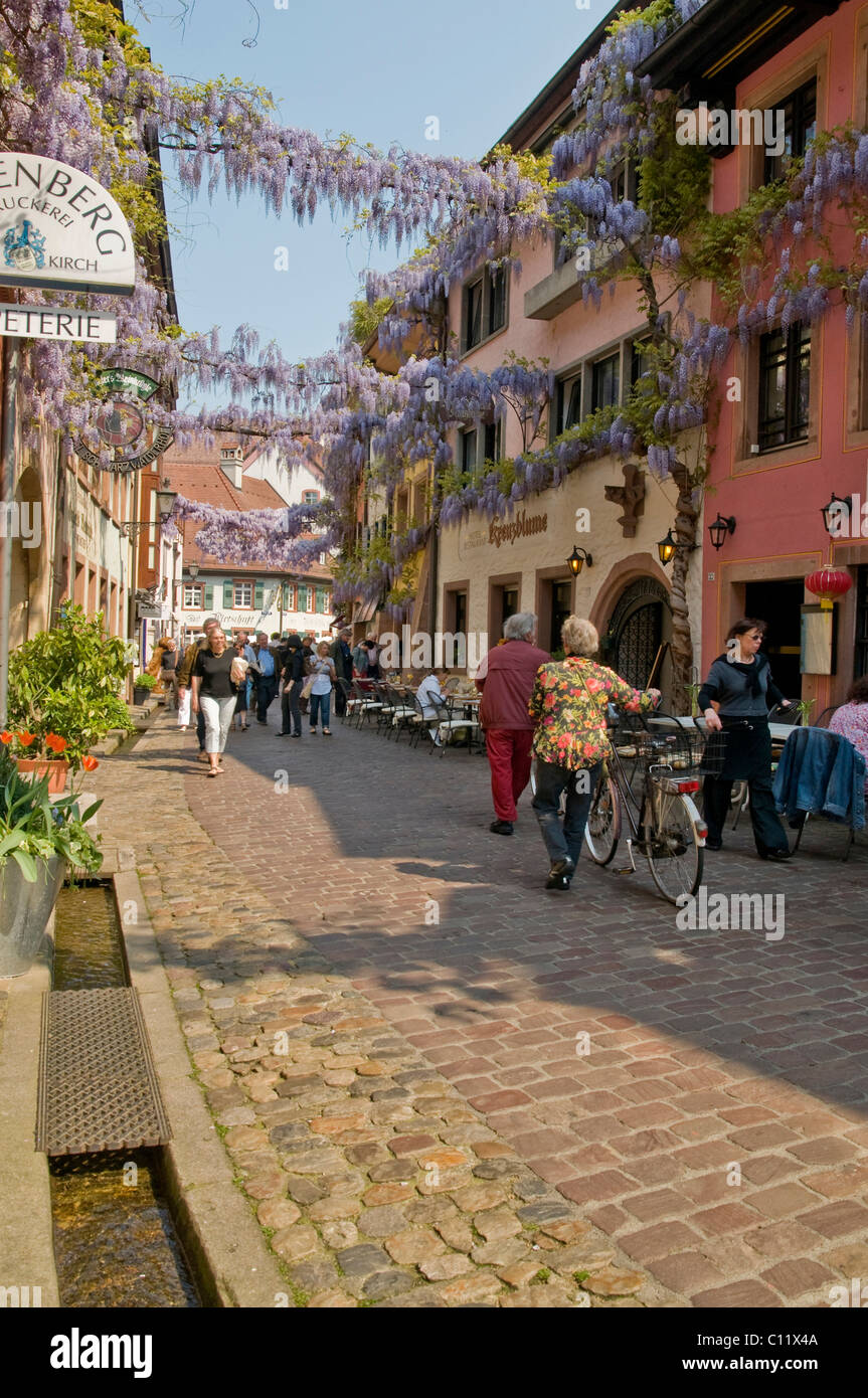 city freiburg gay germany Pennsylvania gay bars