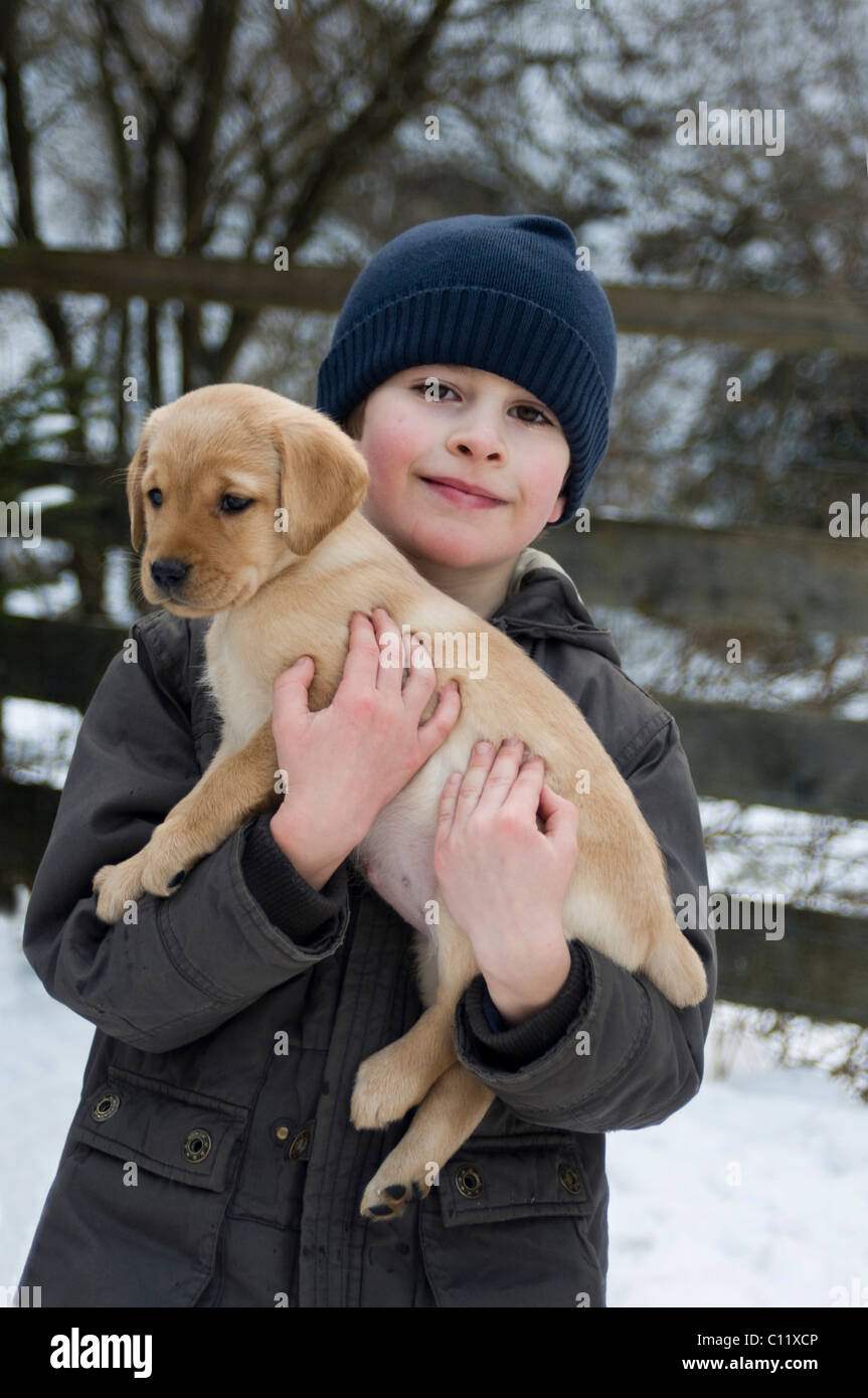 Little boy carrying a Labrador Retriever puppy (Canis lupus familiaris