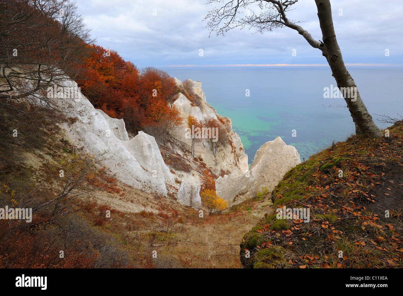 Autumn mood, chalk cliffs and Baltic Sea, Moen island, Denmark, Scandinavia, Europe Stock Photo