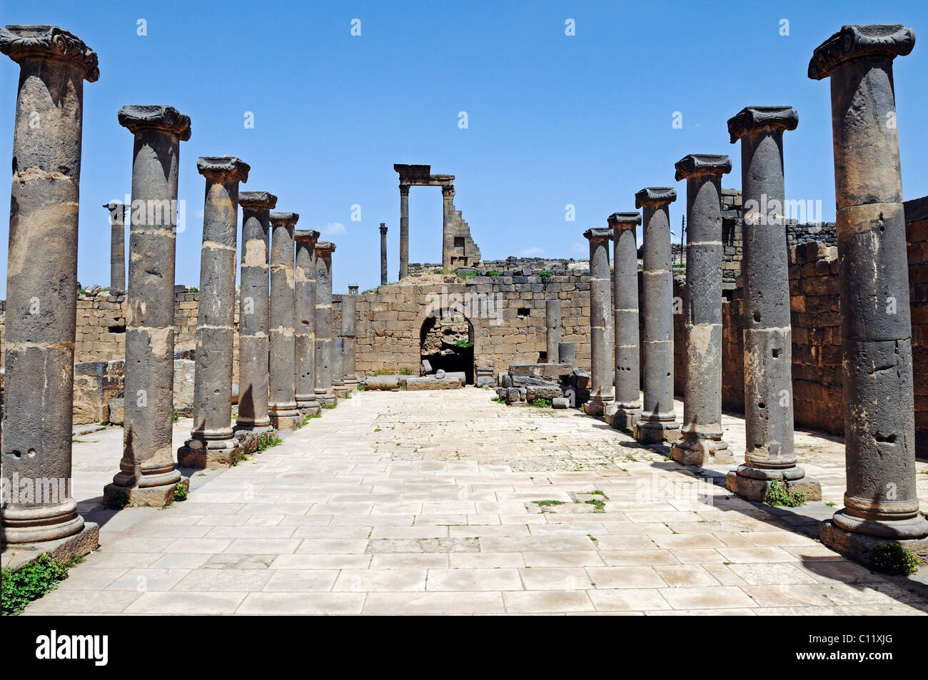 Alley With Columns Excavation Site In The Roman Ruins Of Bosra Stock Photo Alamy