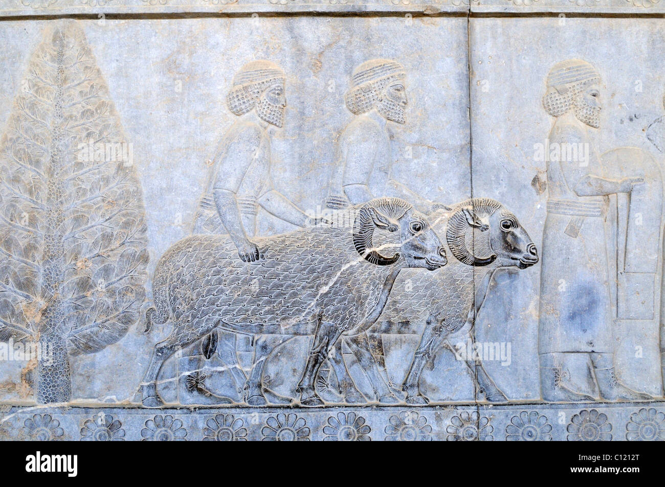 Famous bas-relief with sheep ram on the Apadana Palace, Achaemenid archeological site of Persepolis, UNESCO World Heritage Site Stock Photo