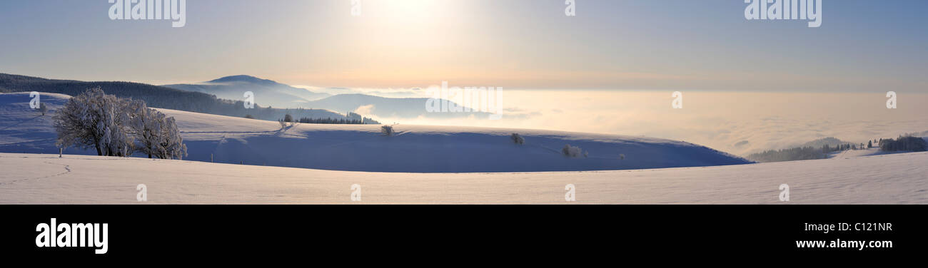 Panoramic view from Schauinsland Mountain over the mist-covered Muenster Valley, on the horizon, Belchen Mountain, 1414 m, Stock Photo