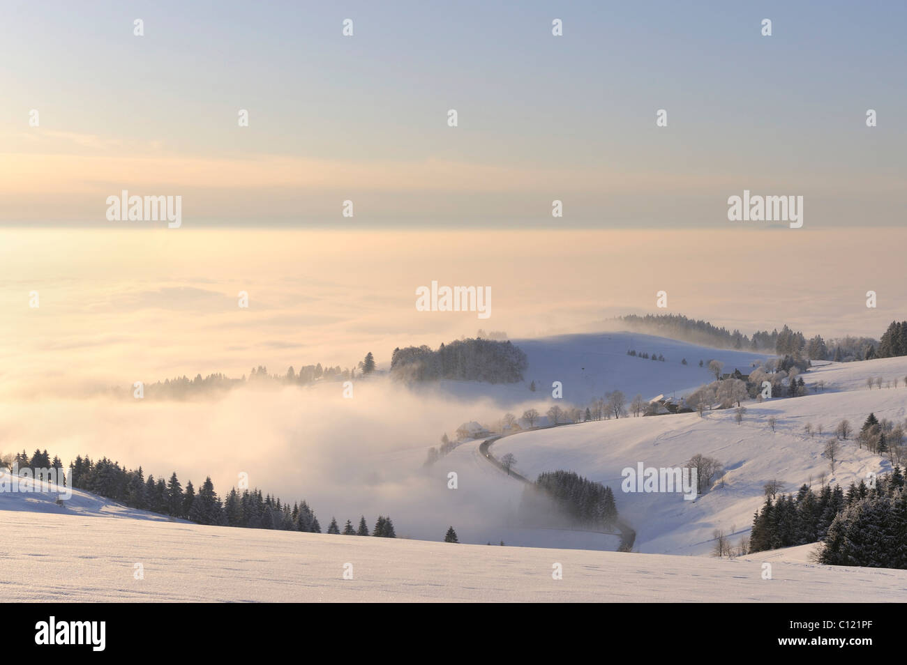 View from Schauinsland Mountain into the snow-covered Muenster Valley, Breisgau-Hochschwarzwald, administrative region of Stock Photo