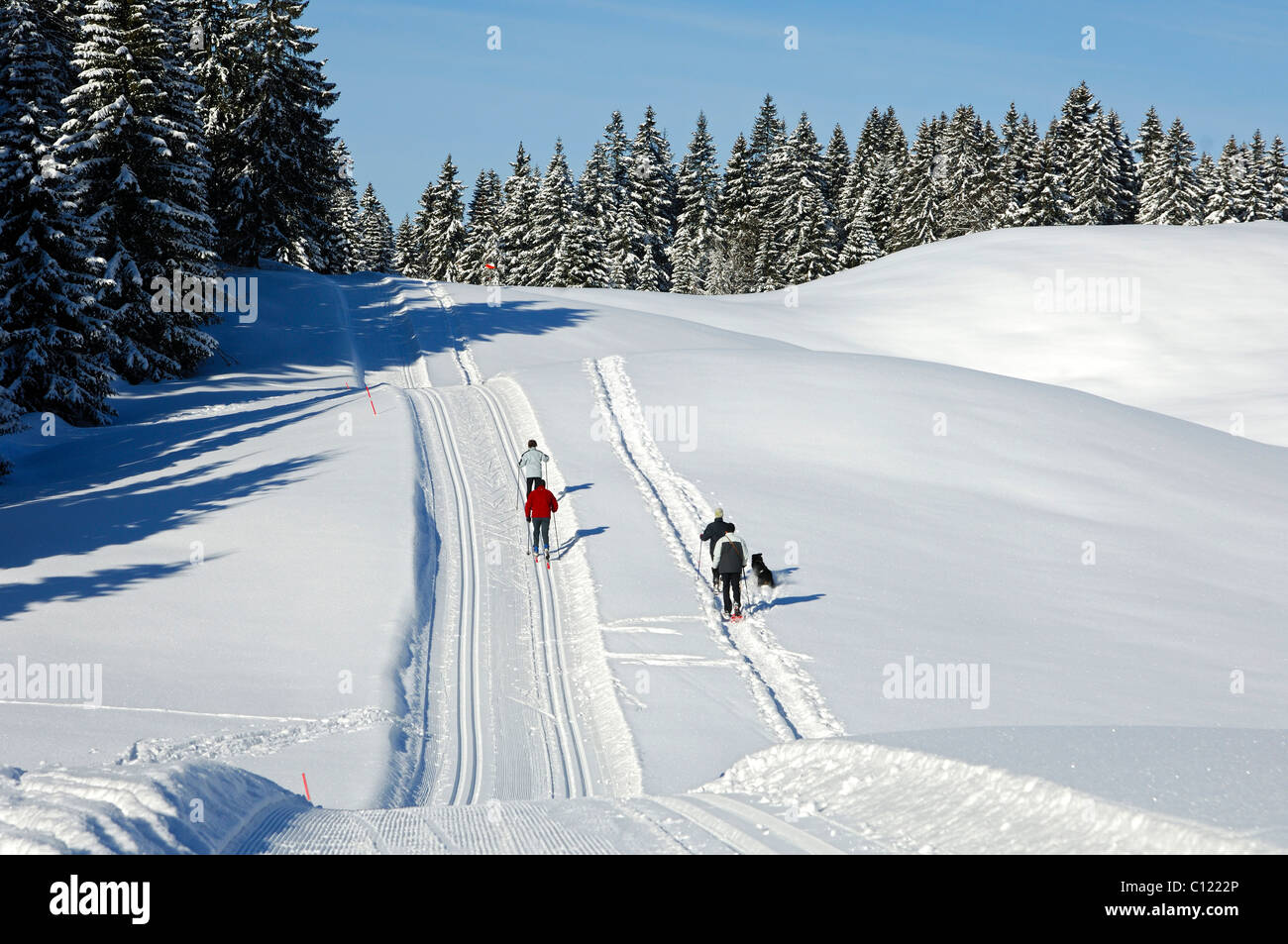 Groomed crosscountry ski trail in the Jura Mountains near St. Cergue