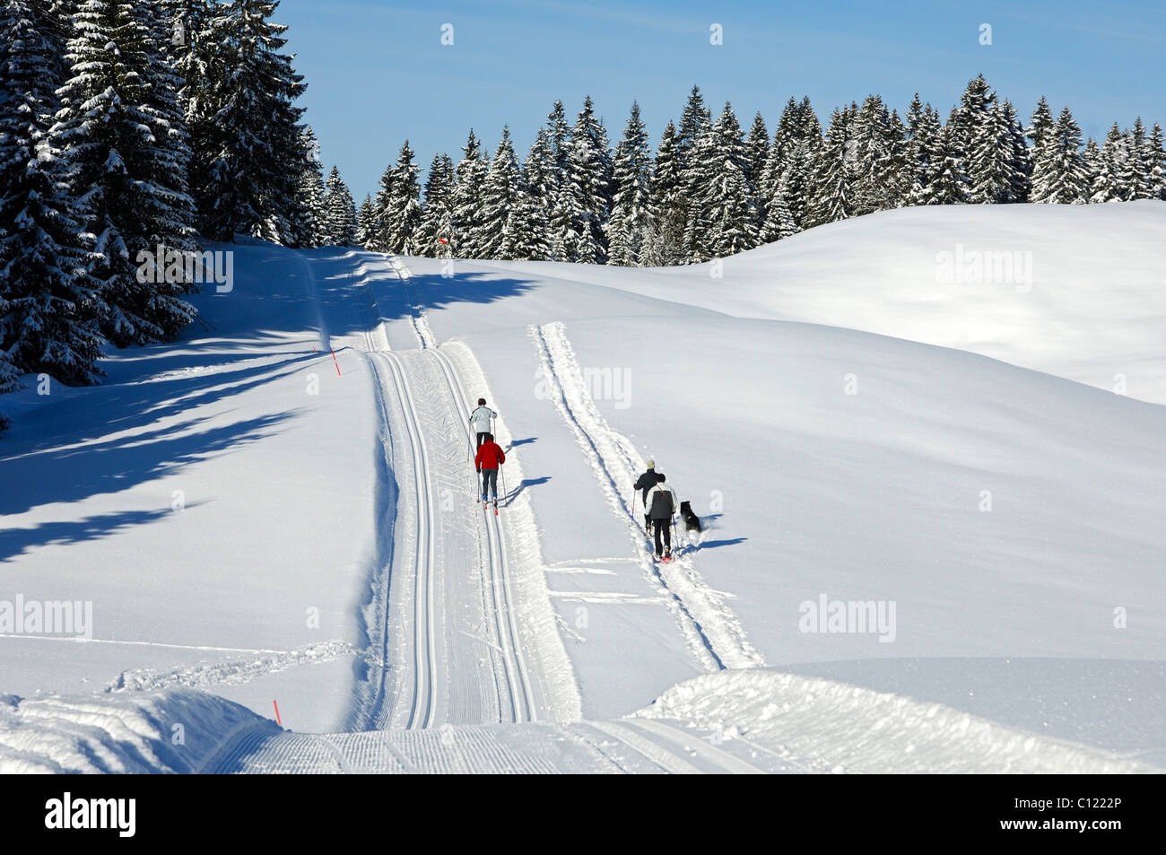 Groomed cross-country ski trail in the Jura Mountains near St. Cergue,  Switzerland, Europe Stock Photo - Alamy