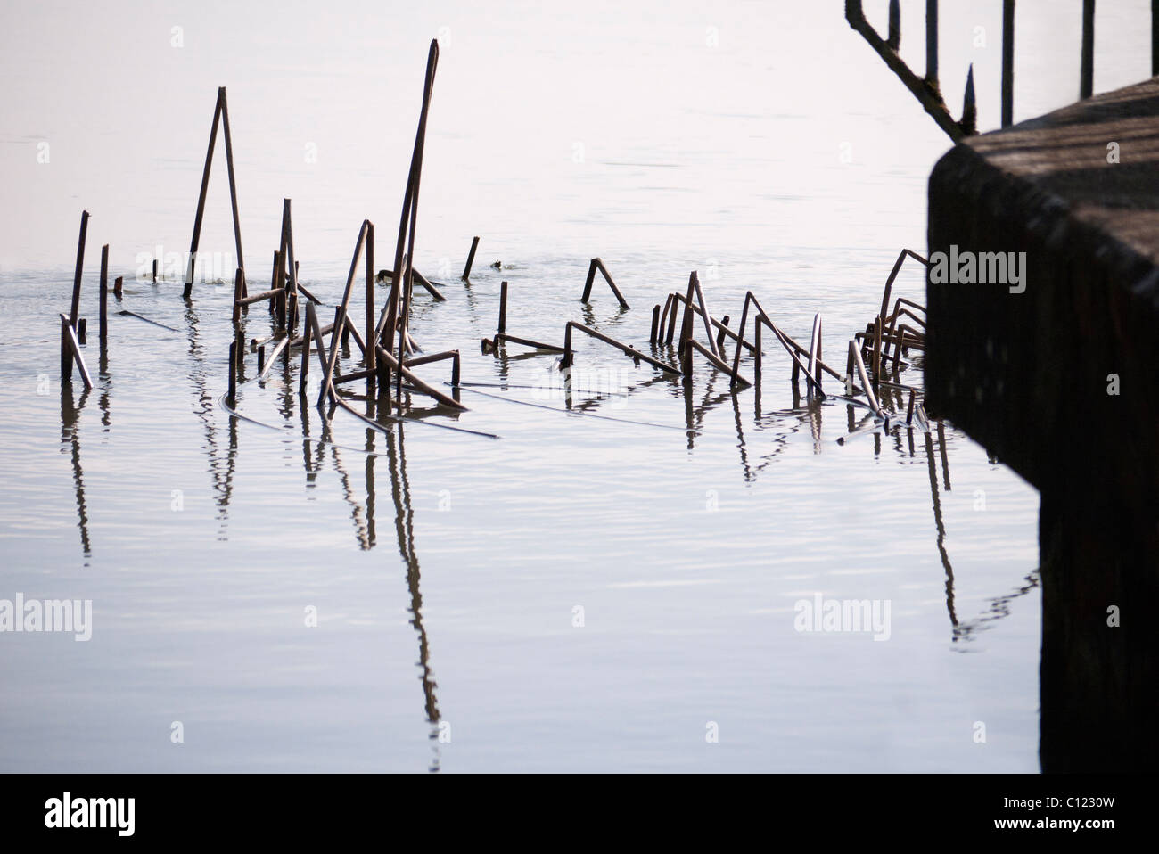 Bent silhouette hi-res stock photography and images - Alamy