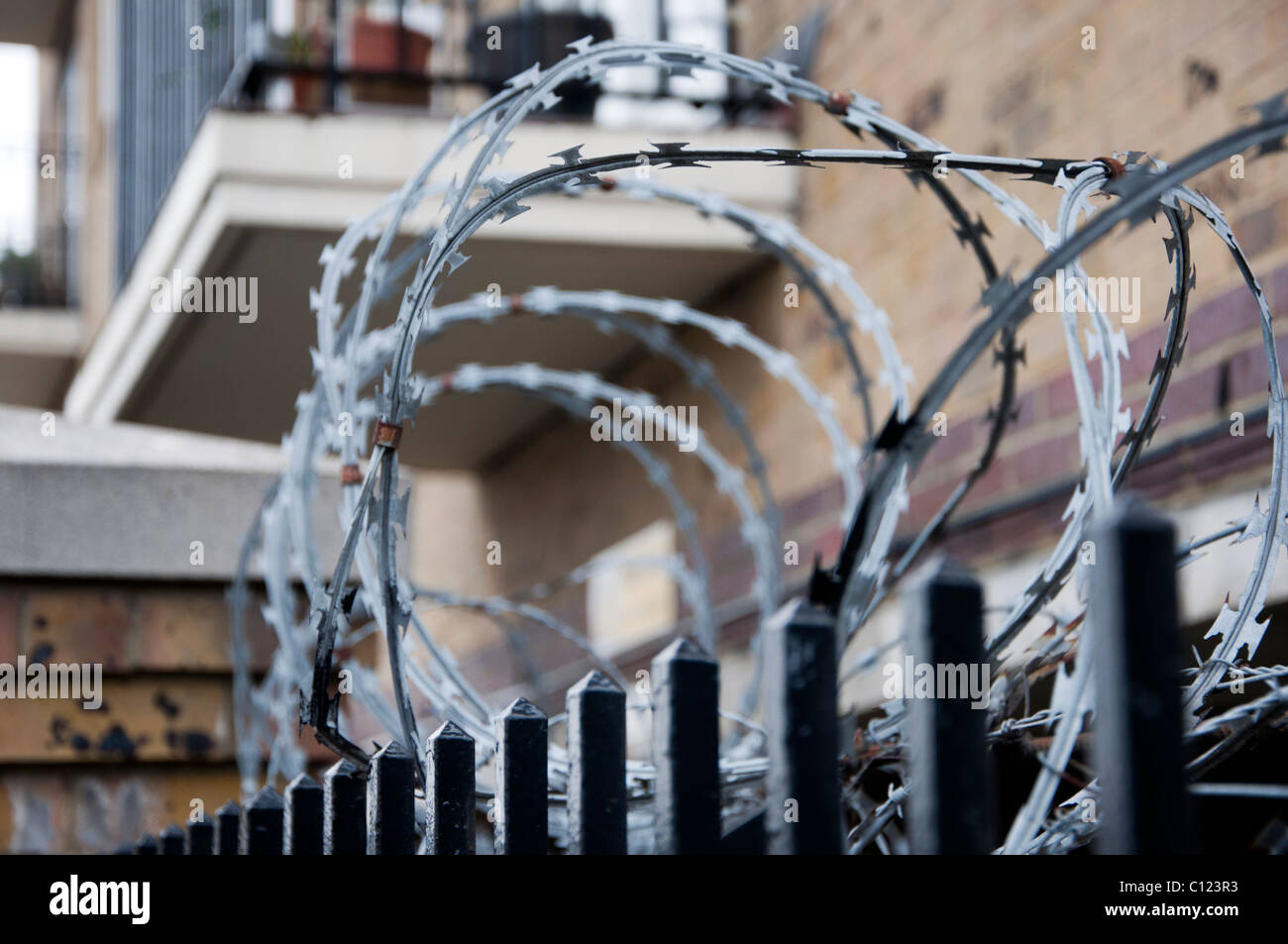 Detail of razor wire Stock Photo - Alamy