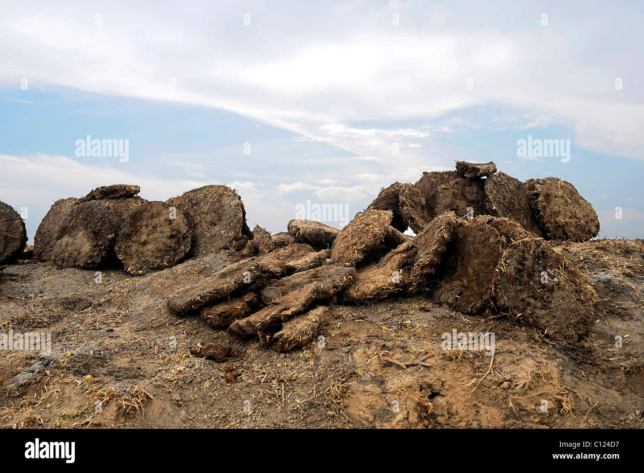 Cow dung road hi-res stock photography and images - Alamy