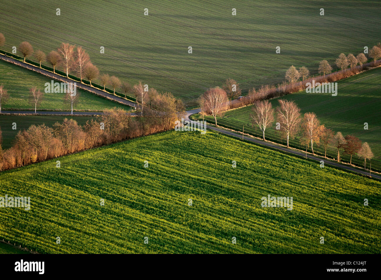 Aerial view, intersection, parkway, Olfen, Muensterland region, North Rhine-Westphalia, Germany, Europe Stock Photo