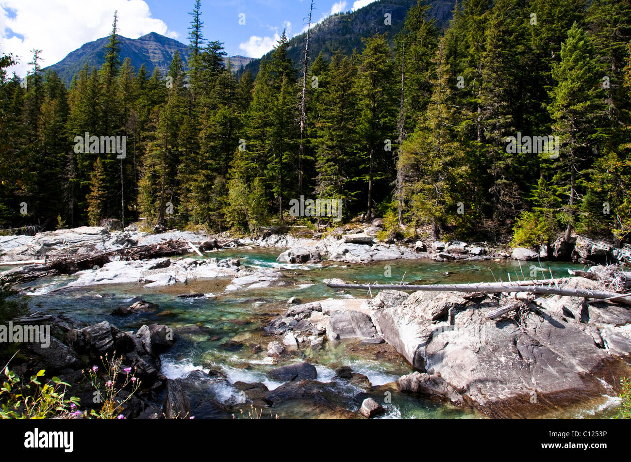 Flathead River,Middle Fork,Translucent Glacier, Melt Water,Logans Pass