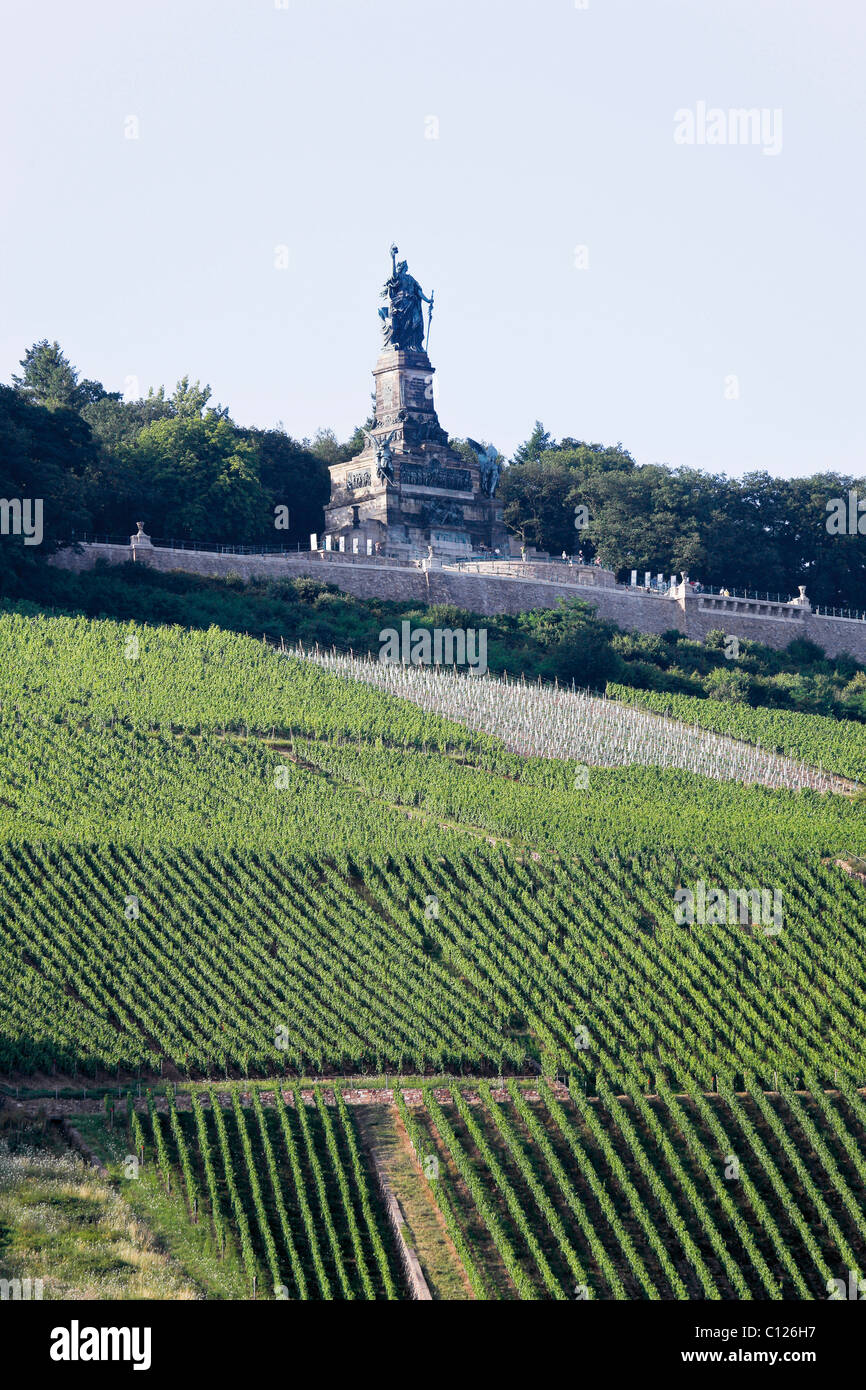 Longshot of the Niederwalddenkmal memorial near Ruedesheim and vineyards, Mittelrheintal valley, Hesse, Germany, Europe Stock Photo