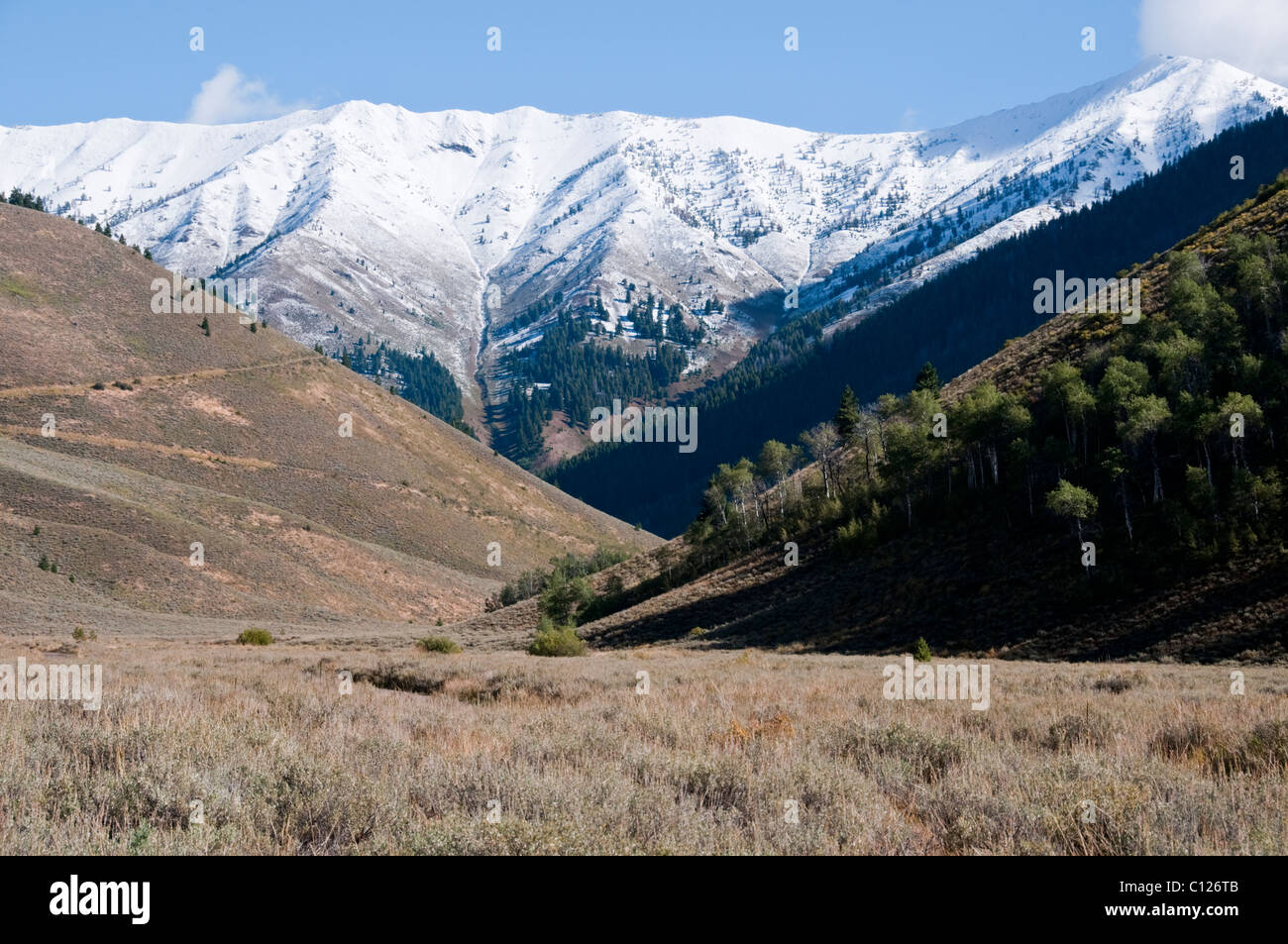 Adam Gulch Loop Walk,Sun Valley,World Famous Ski Resort,Home to The