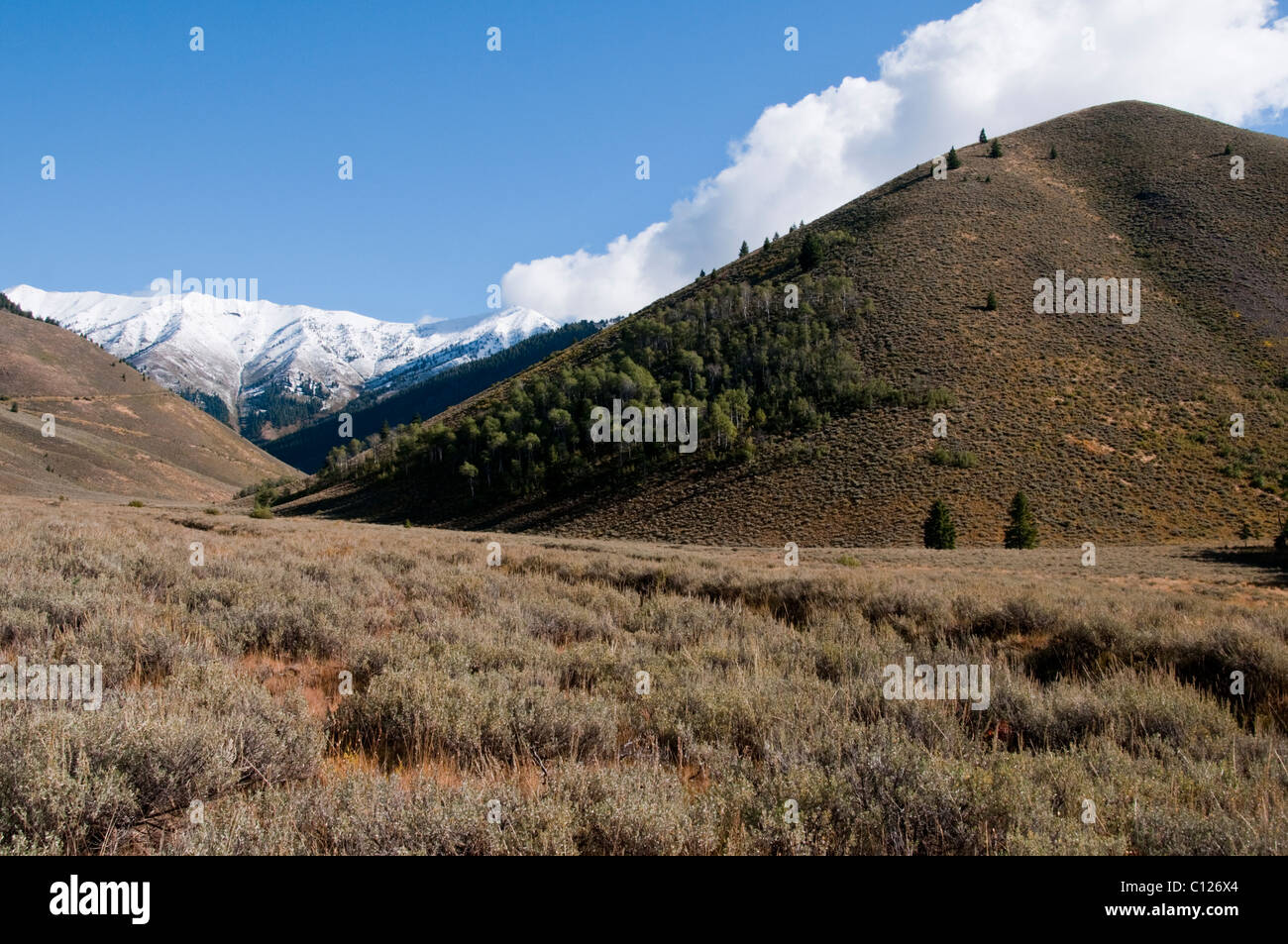 Adam Gulch Loop Walk,Sun Valley,World Famous Ski Resort,Home to The