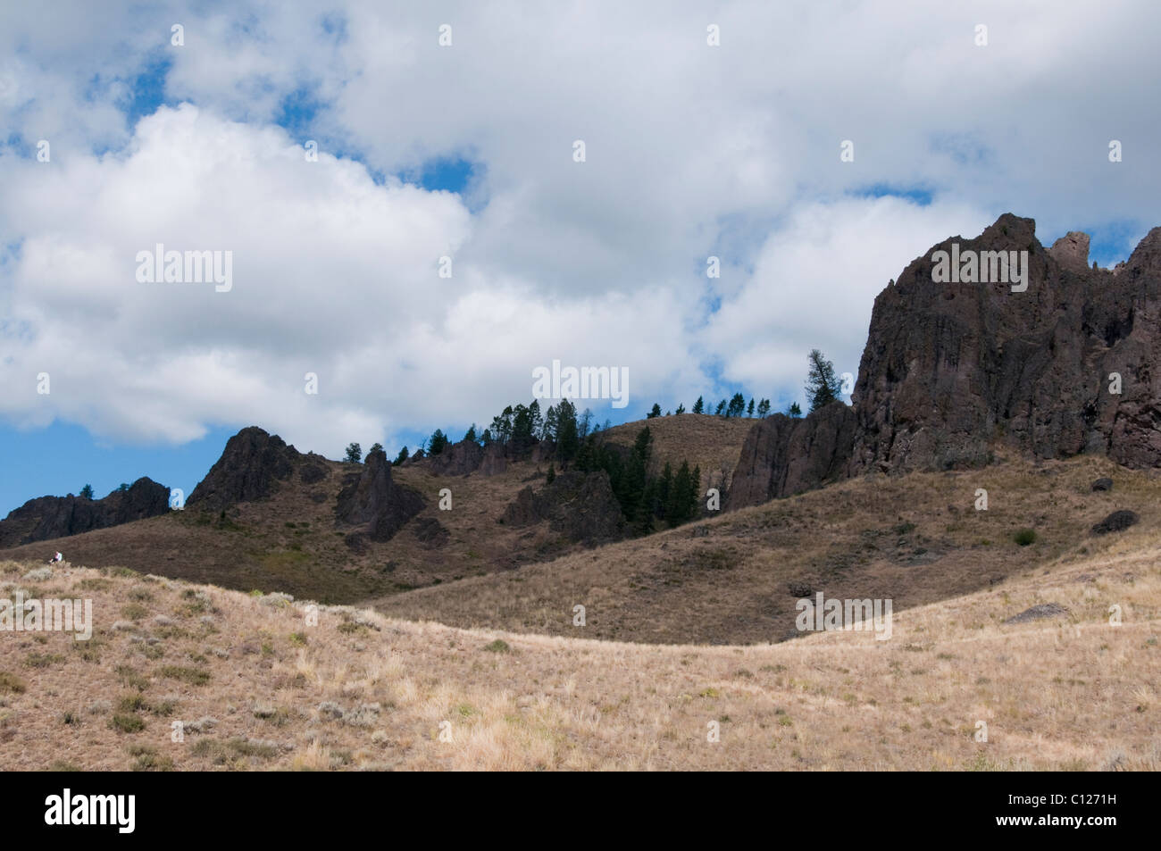 Adam Gulch Loop Walk,Sun Valley,World Famous Ski Resort,Home to The