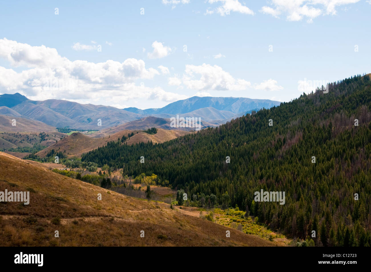 Adam Gulch Loop Walk,Sun Valley,World Famous Ski Resort,Home to The