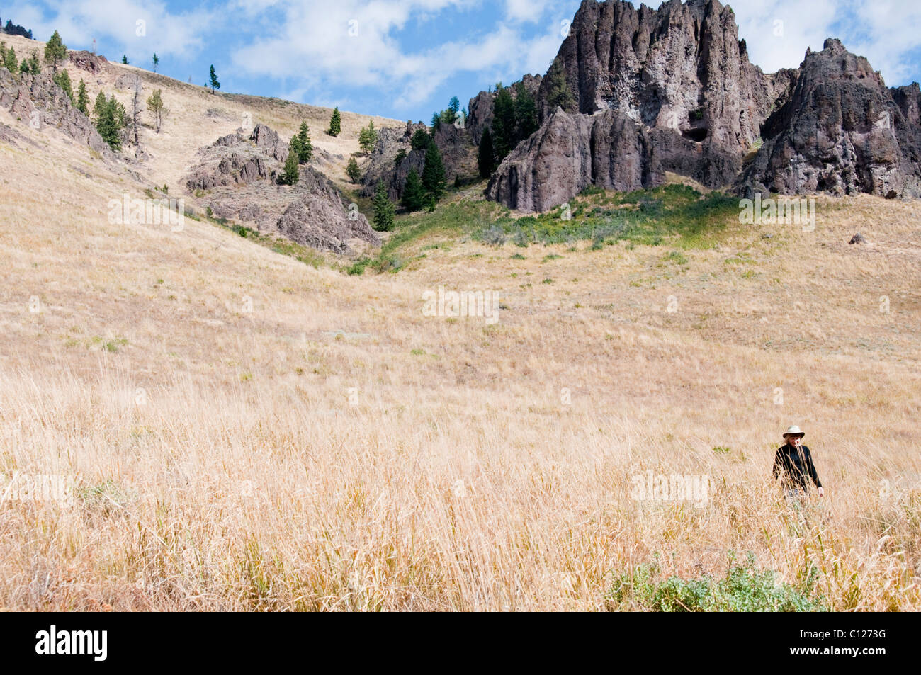 Adam Gulch Loop Walk,Sun Valley,World Famous Ski Resort,Home to The