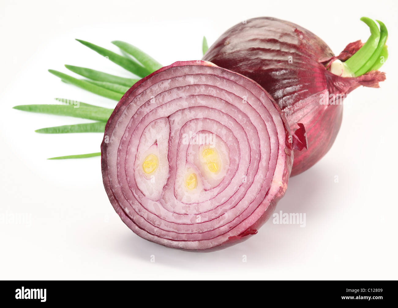 Bulbs of red onion with green leaves on a white background. Stock Photo