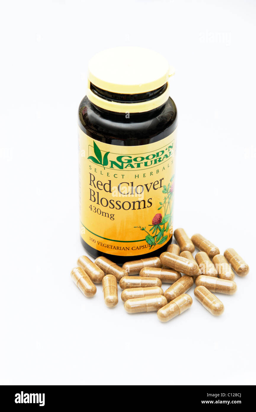 red clover is a herbal remedy for the menopause which assists in balancing female hormones and reduces hot flushes night sweats Stock Photo