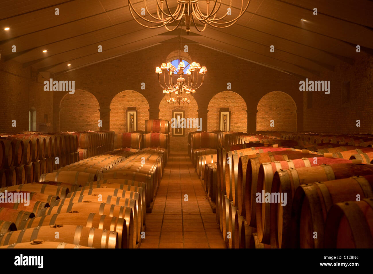 Waterford Estate Winery, wine cellar, Stellenbosch, Winelands, near