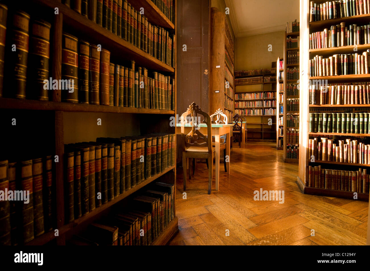 Library of the Allgemeinen Lesegesellschaft Basel General Reading Society of Basel, Basel, Switzerland, Europe Stock Photo