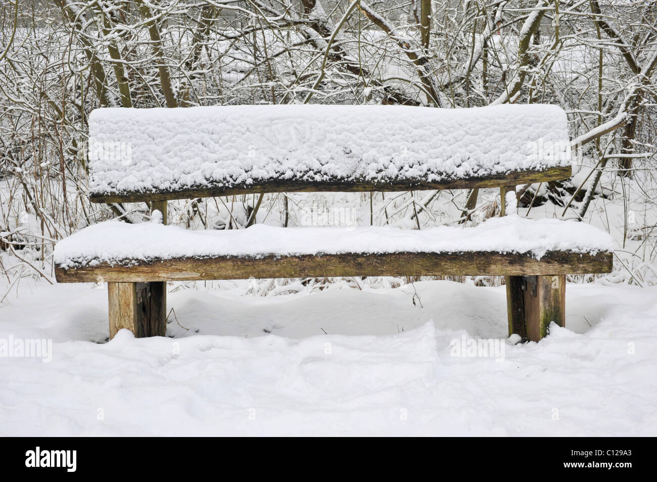 Snow-covered bench Stock Photo