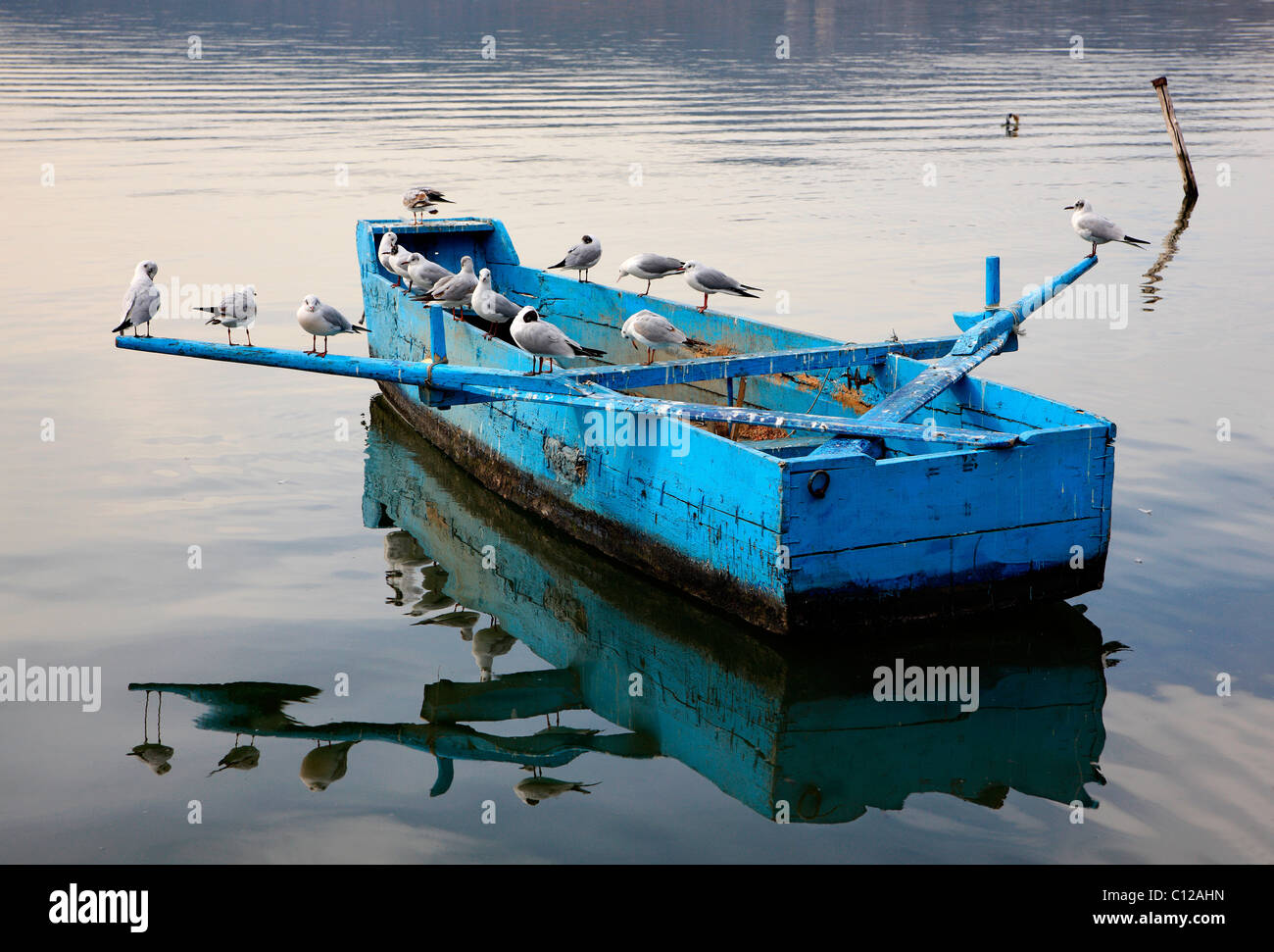 A peaceful moment in Lake Orestias (or 'Orestiada') with birds resting on a 'plava' (traditional boat), Kastoria town, Greece Stock Photo