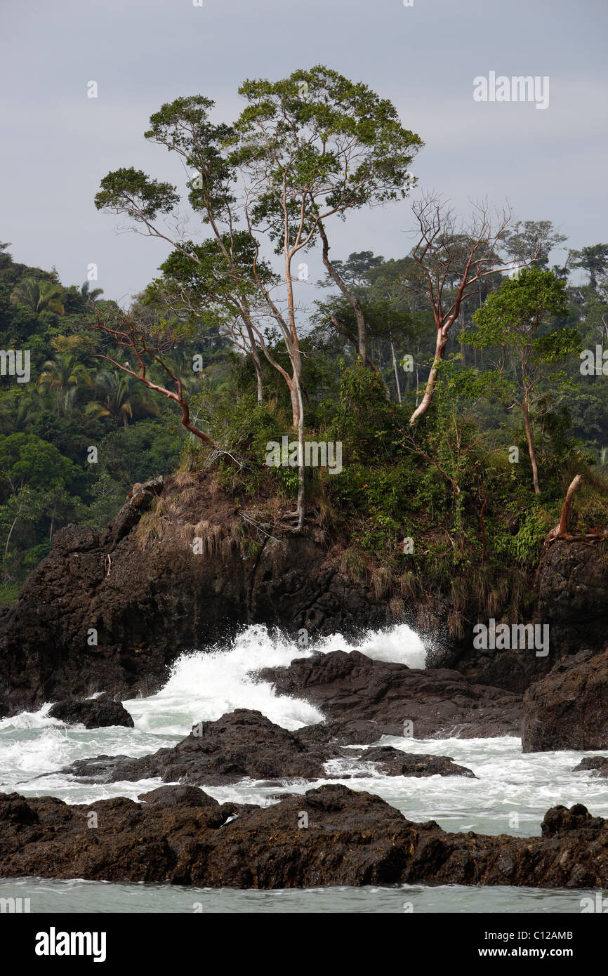 Rocky shoreline and rain forest, Manuel Antonio National Park, Costa