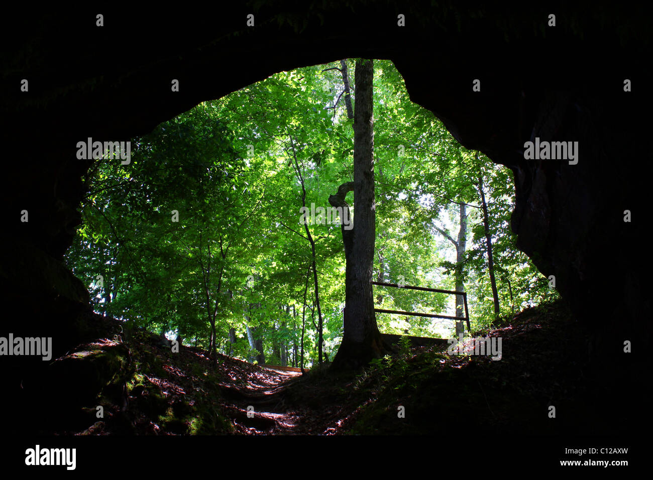 Cave Spring Natchez Trace Parkway Stock Photo Alamy