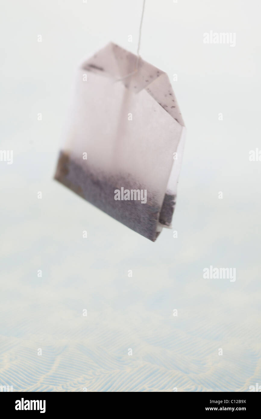 hanging tea bag close up string drink hot beverage Stock Photo Alamy