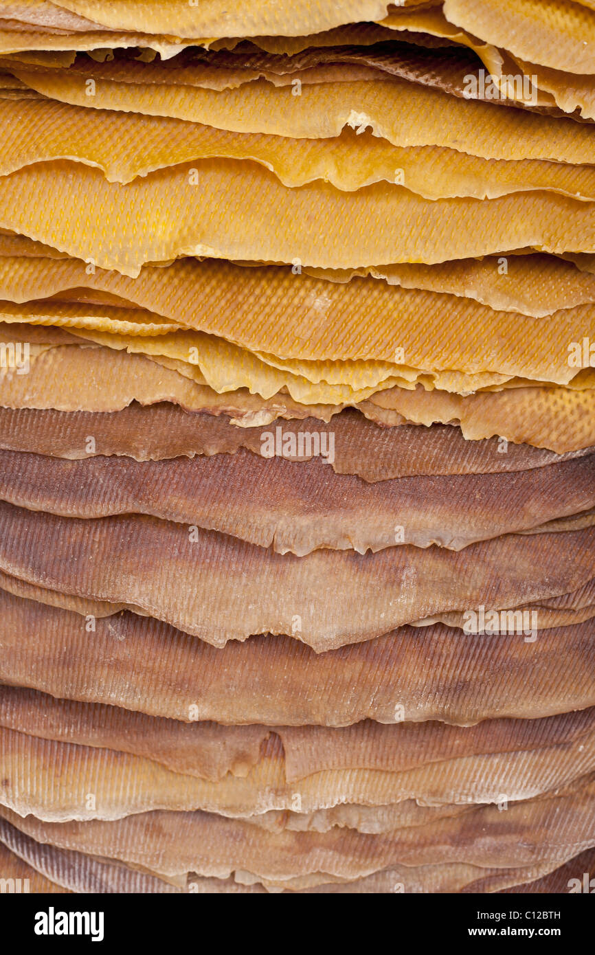 Sheets of latex (natural) rubber, Thailand Stock Photo