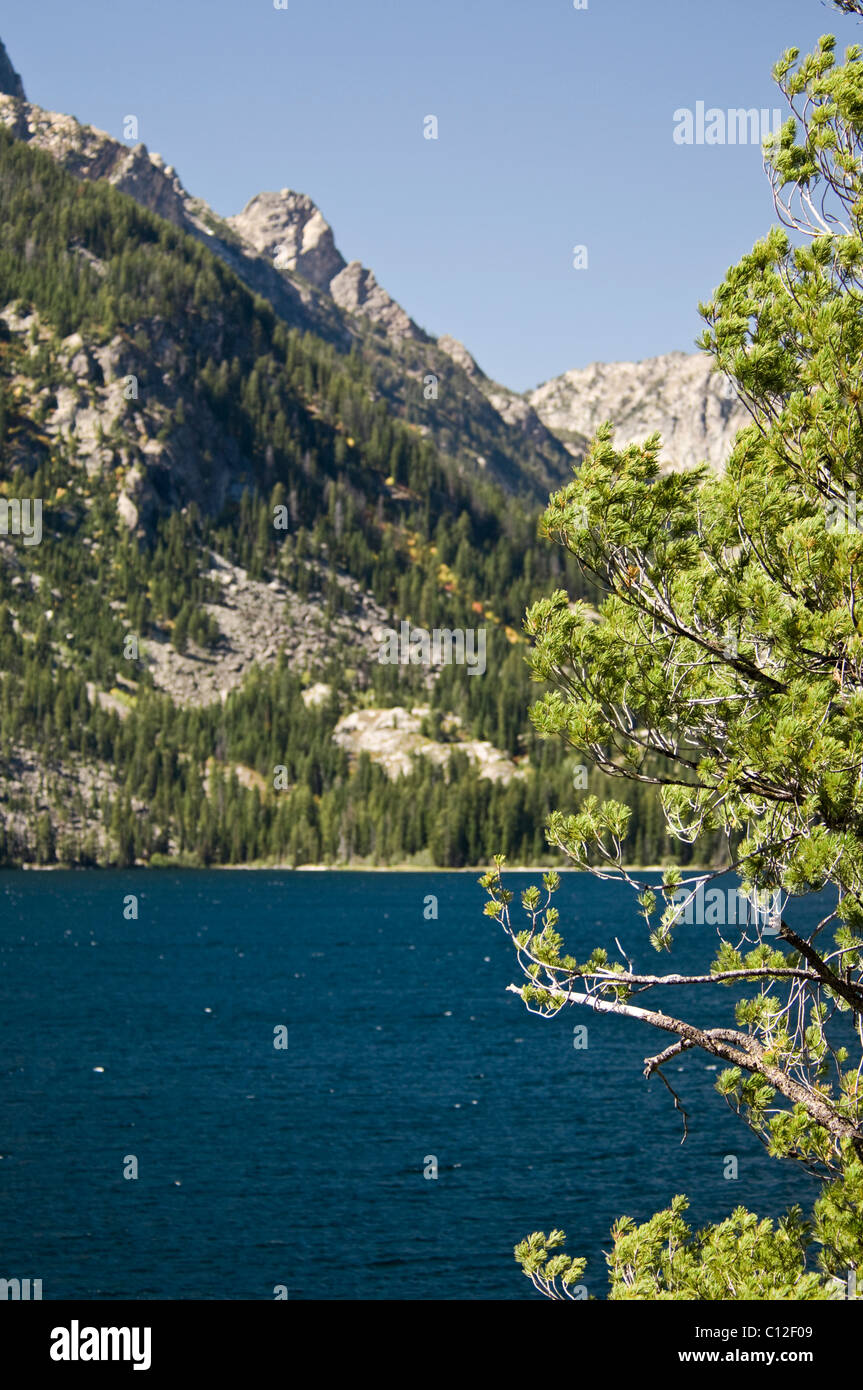 Teton Range Mountains,Views of Jenny Lake,Mt St John,Hanging Canyon