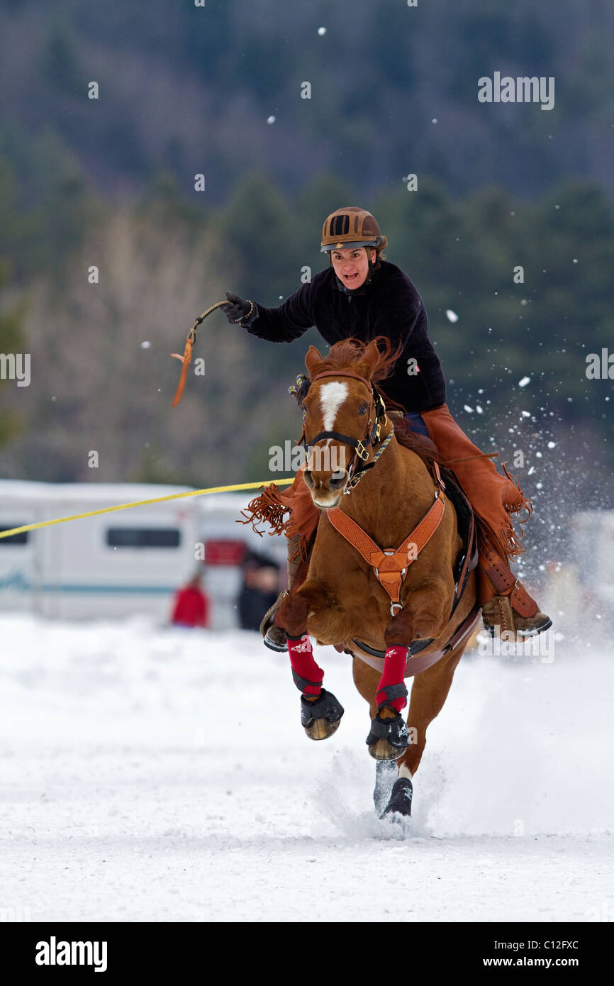 Horse and rider running in the snow while towing a skier during a ski joring, skijoring race in New Hampshire, New England. Stock Photo