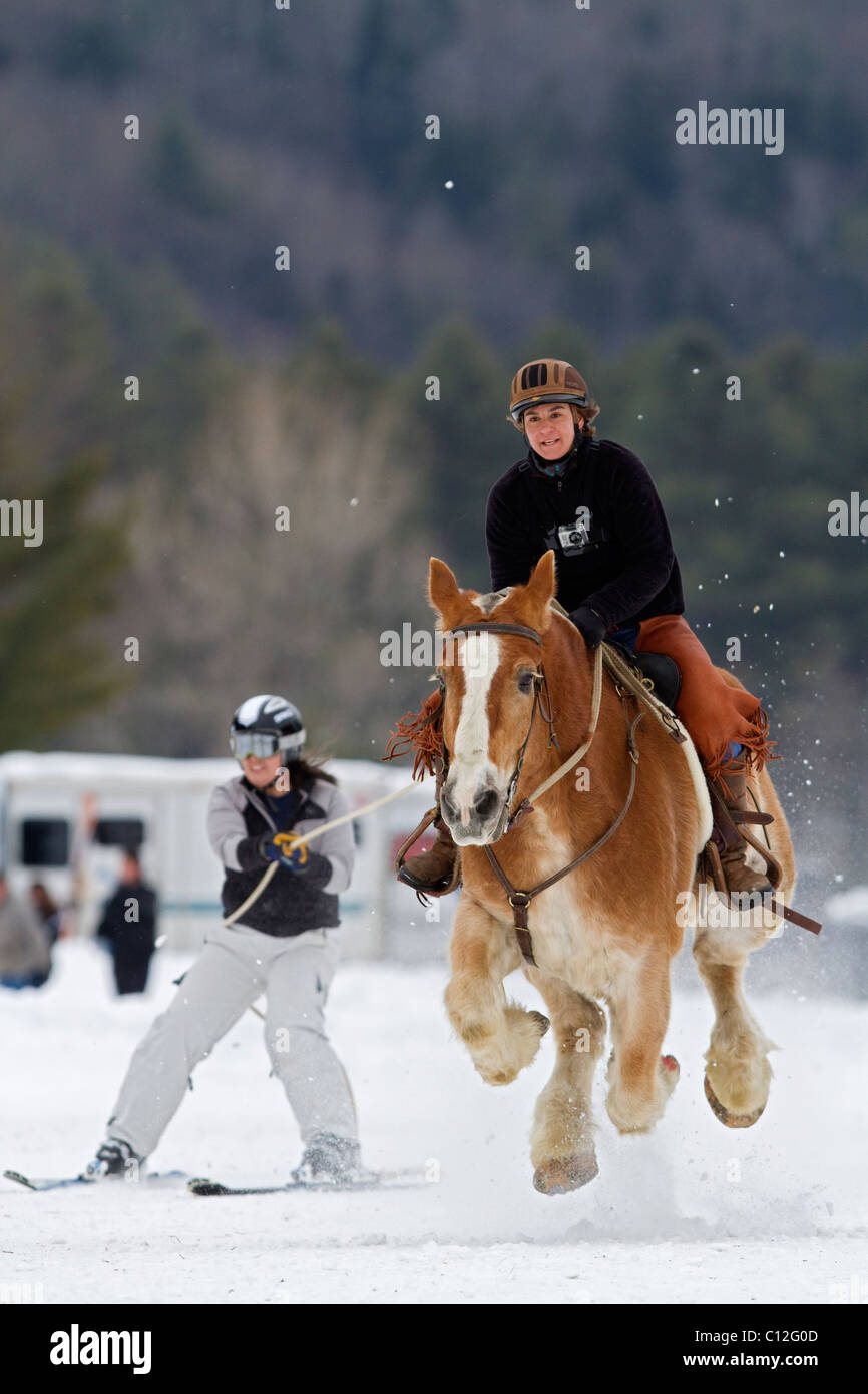 Towing horse hires stock photography and images Alamy