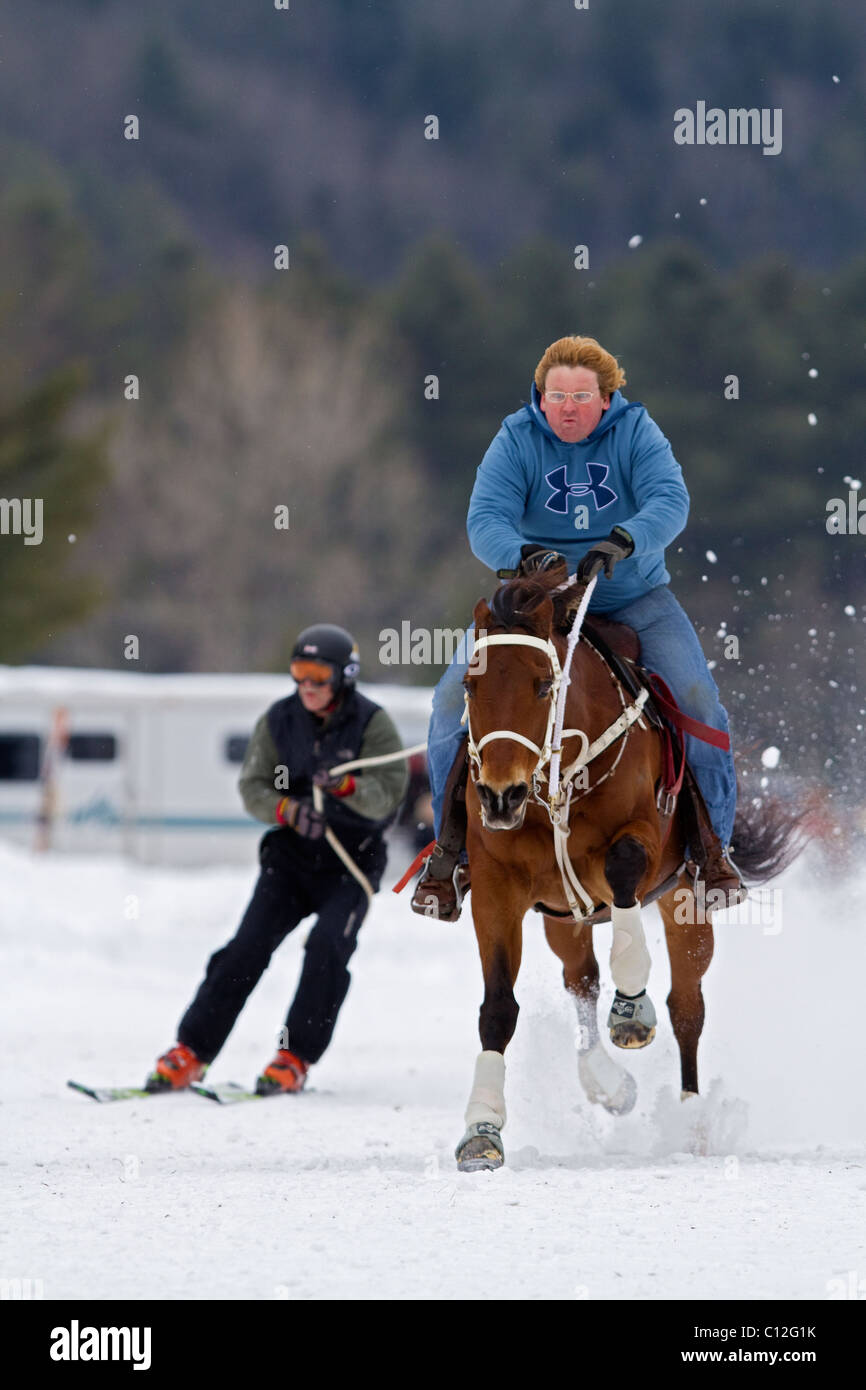 Horse and rider running in the snow while towing a skier during a ski joring, skijoring race in New Hampshire, New England. Stock Photo