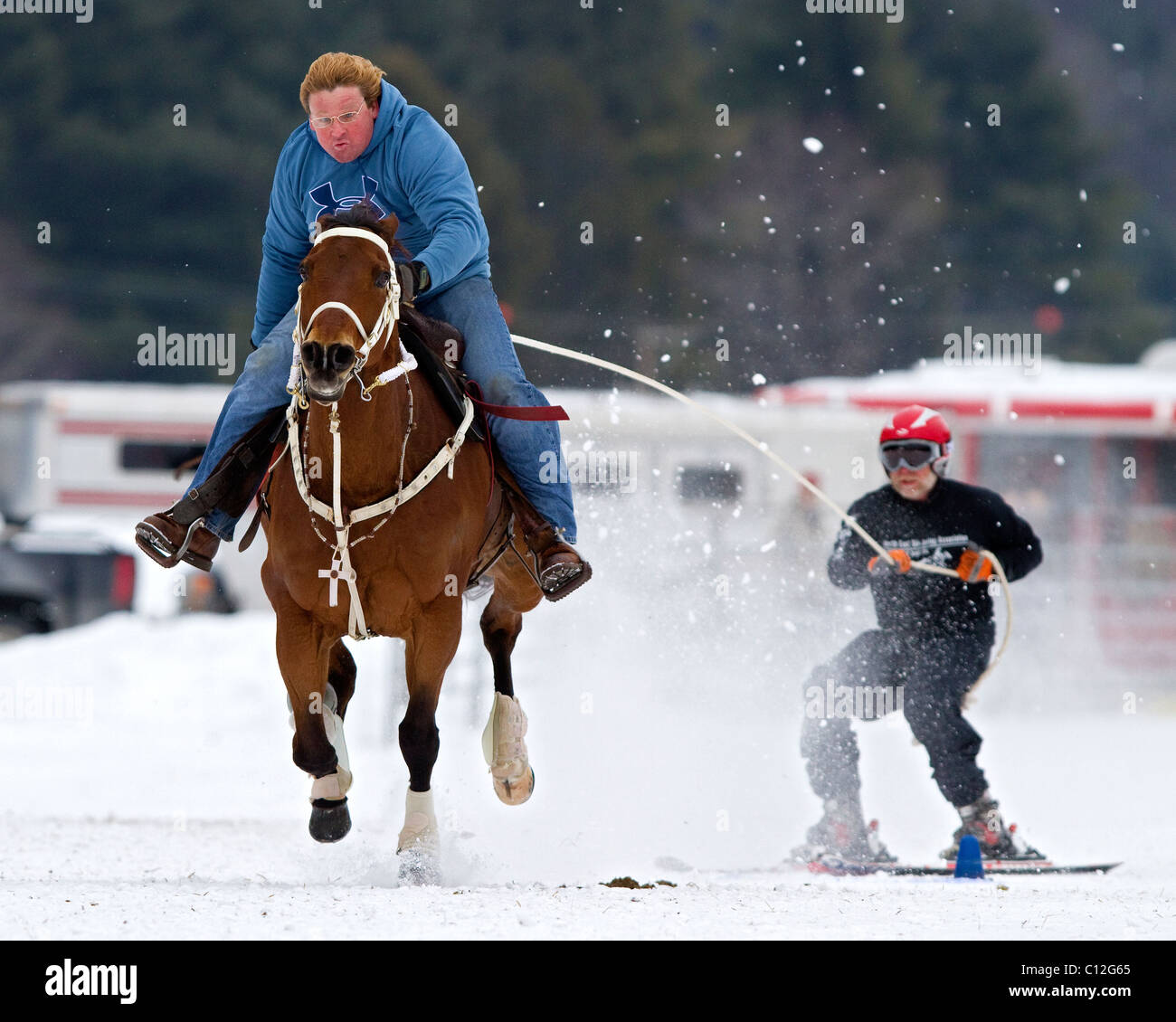 Horse and rider running in the snow while towing a skier during a ski joring, skijoring race in New Hampshire, New England. Stock Photo