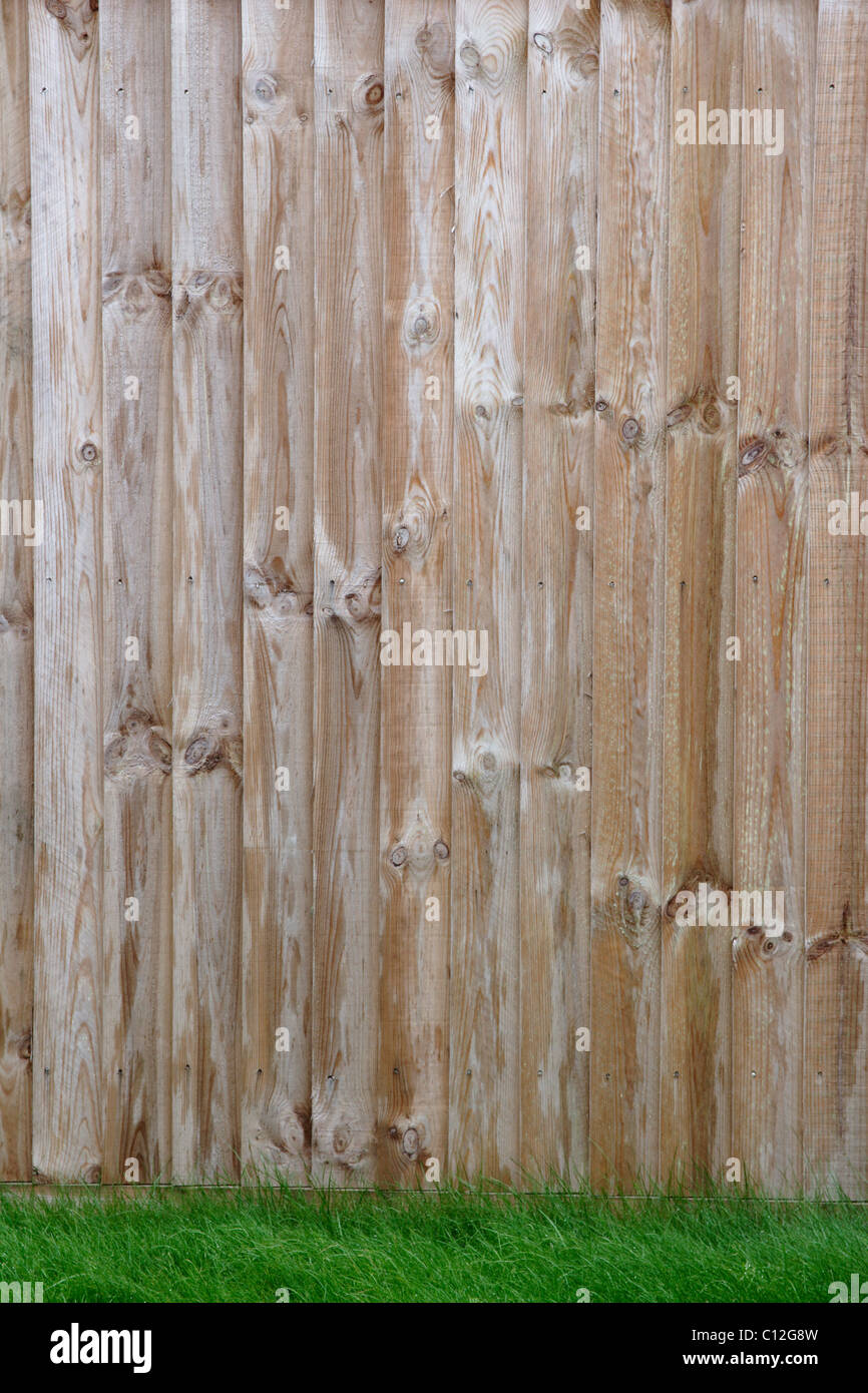 Wooden featheredge fence in garden Stock Photo